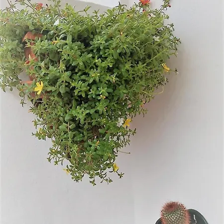 דירה Budda House Puerto Del Carmen. Tías