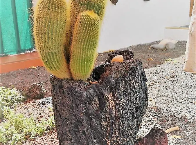 Budda House Puerto Del Carmen. Apartamento Tías